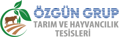Özgün Şirketler Topluluğu